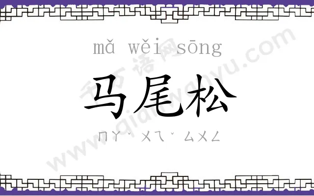 马尾松