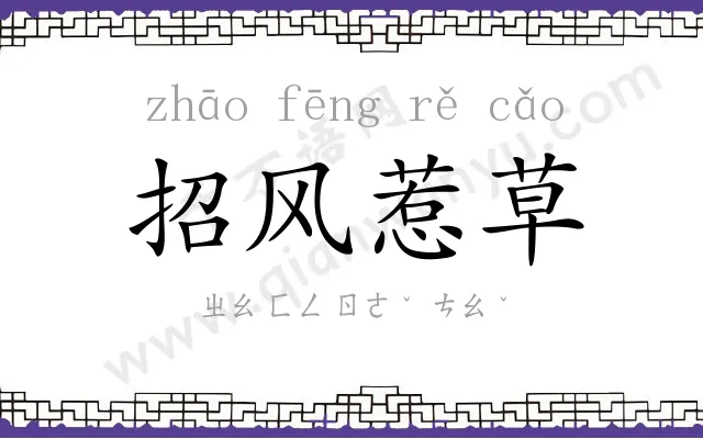 招风惹草