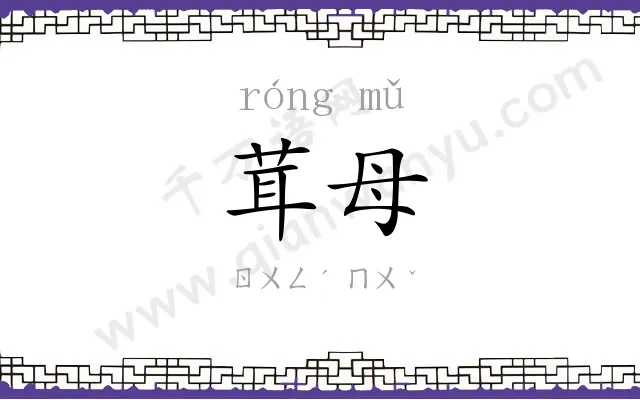 茸母