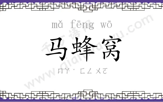 马蜂窝