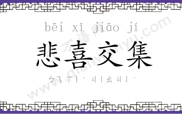 悲喜交集