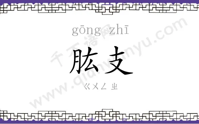 肱支