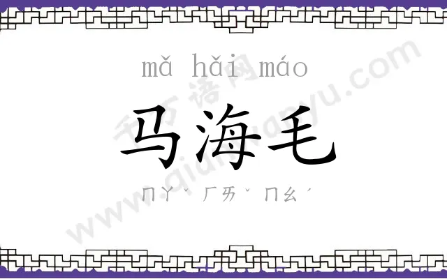 马海毛