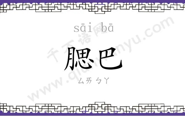 腮巴