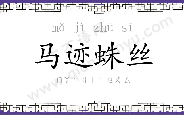 马迹蛛丝