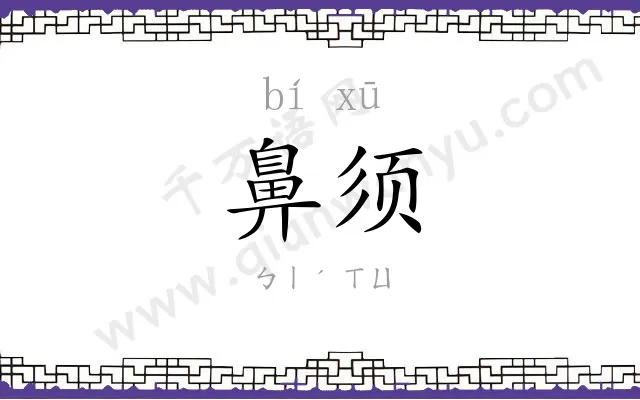 鼻须