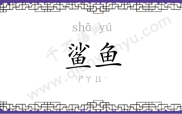 鲨鱼