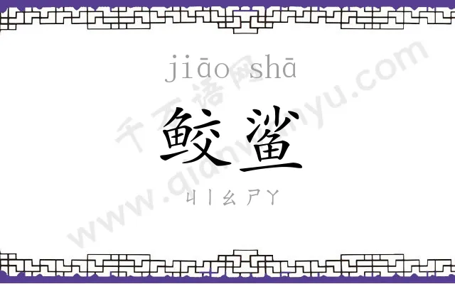 鲛鲨