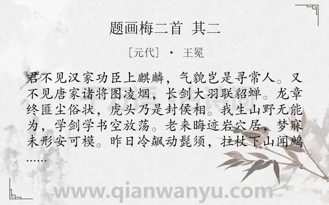 《题画梅二首 其二》作者是元代的王冕.诗词全文约共302字.