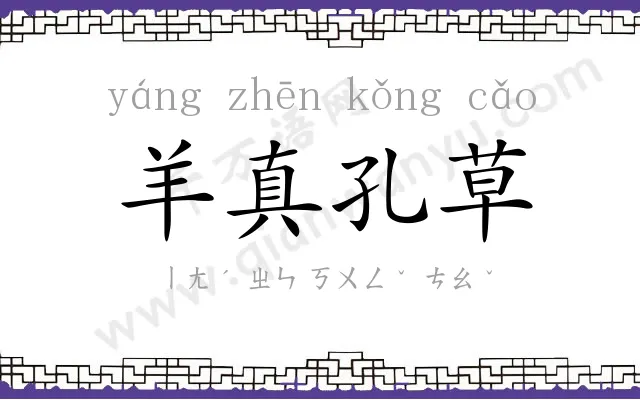 羊真孔草