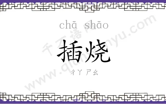 插烧
