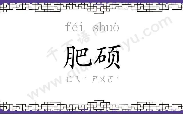 肥硕