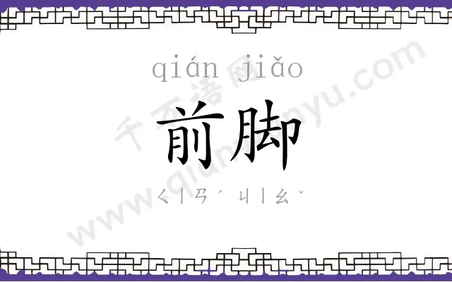 前脚