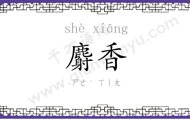 麝香