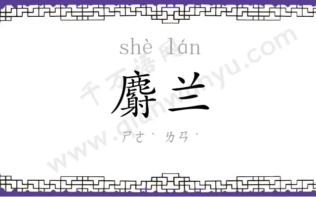 麝兰