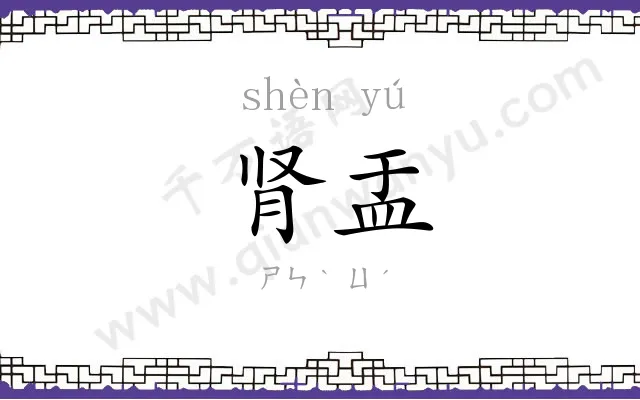 肾盂