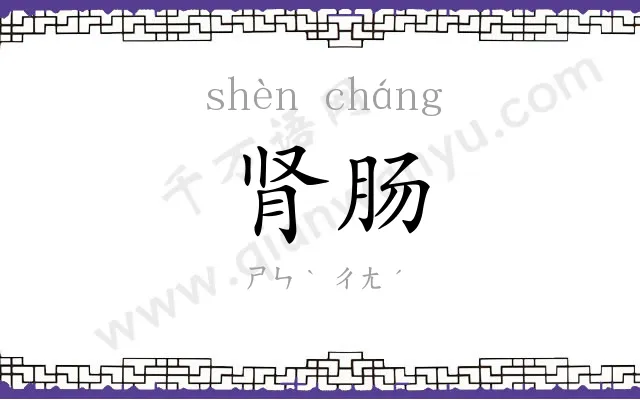 肾肠