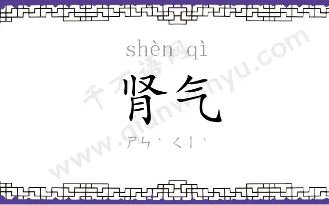 肾气