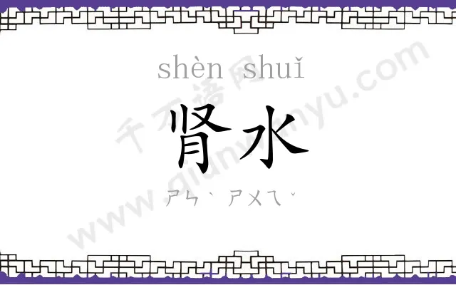 肾水
