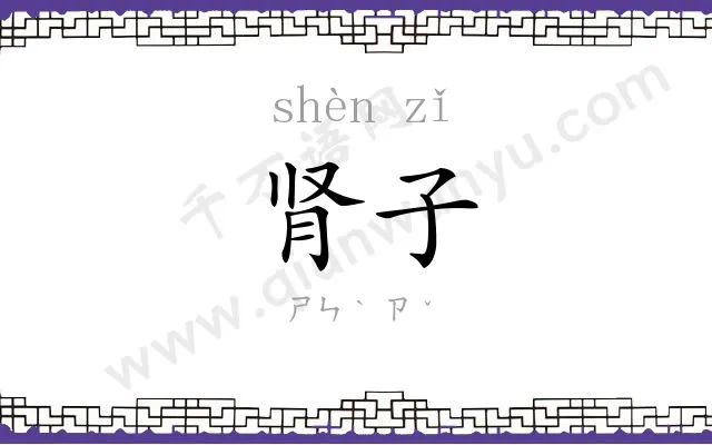 肾子