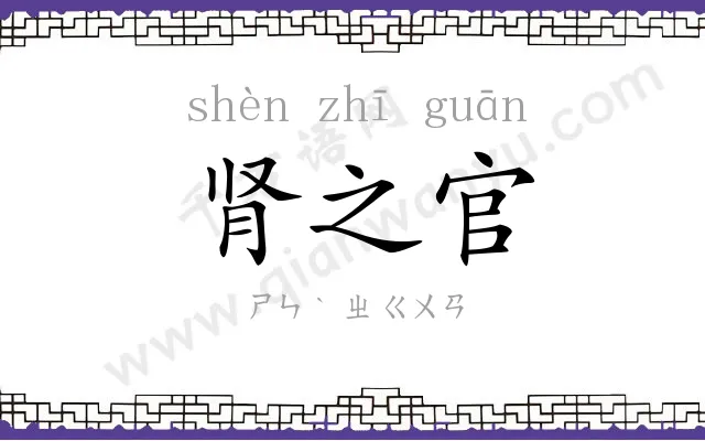 肾之官