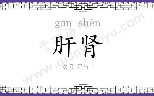 肝肾