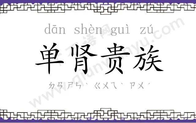 单肾贵族