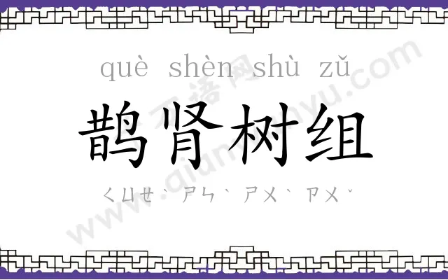 鹊肾树组