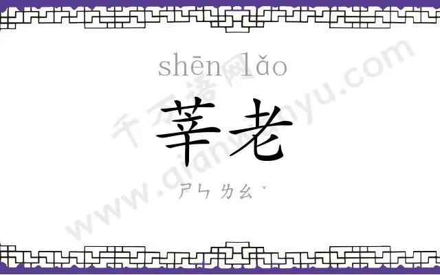 莘老