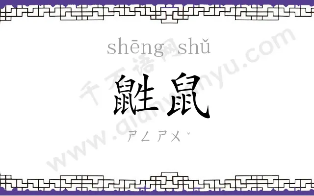 鼪鼠