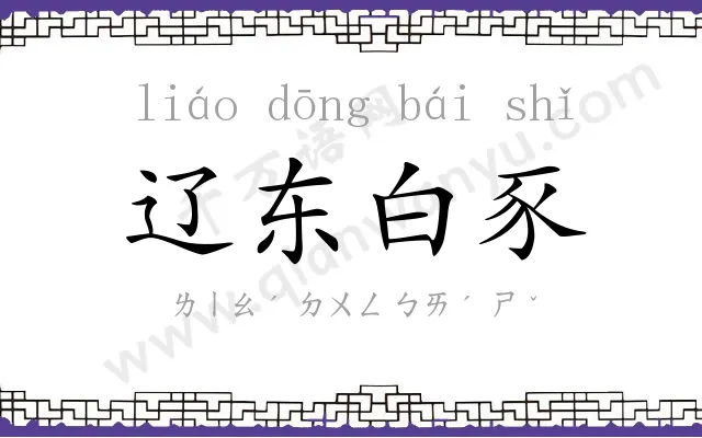 辽东白豕