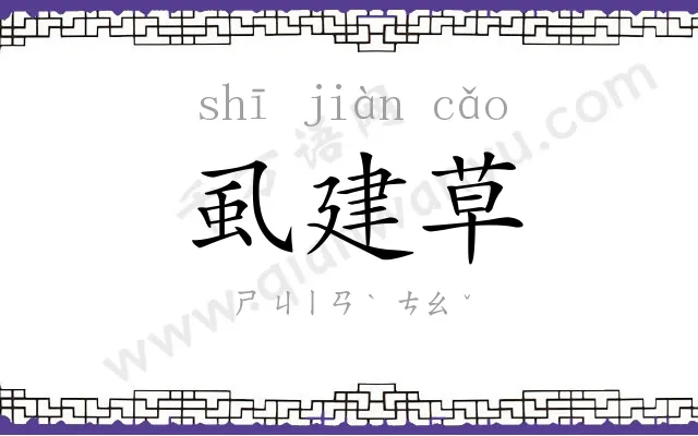 虱建草
