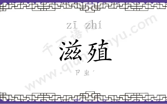 滋殖