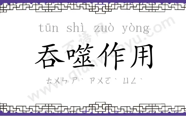 吞噬作用