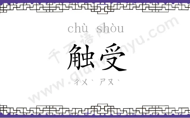 触受