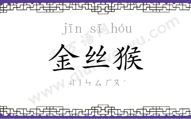 金丝猴