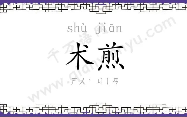 术煎