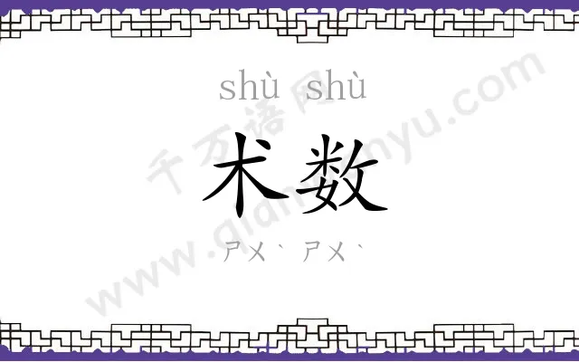 术数