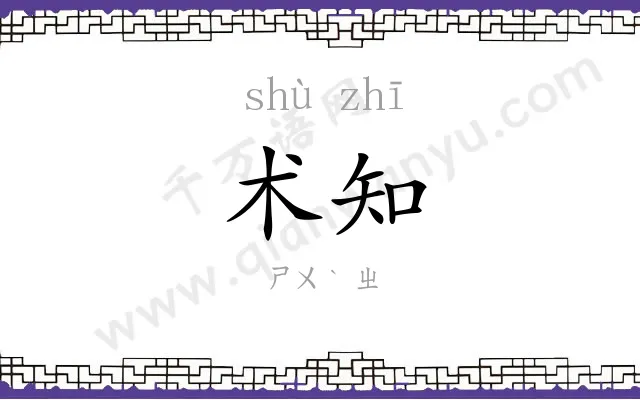 术知
