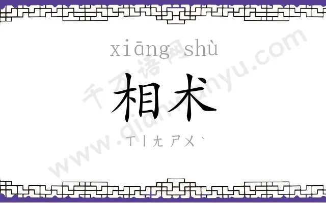 相术