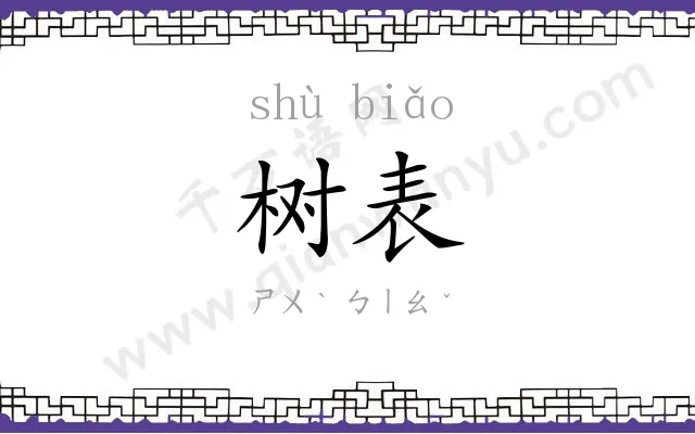 树表
