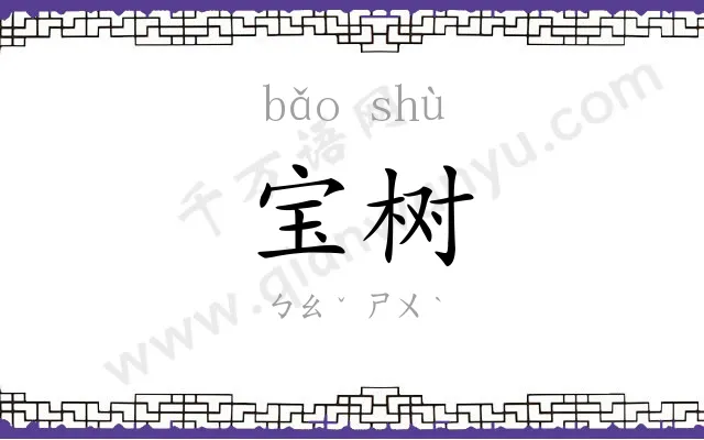 宝树