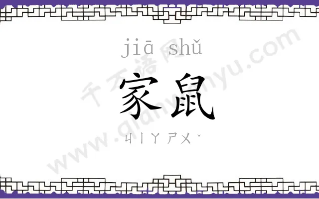 家鼠
