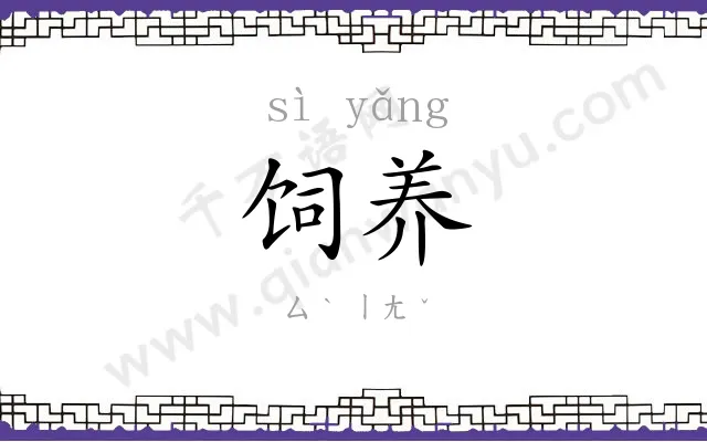 饲养