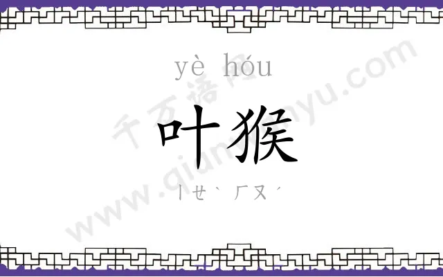 叶猴