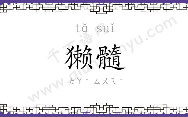 獭髓
