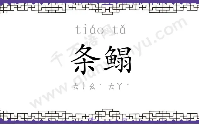 条鳎