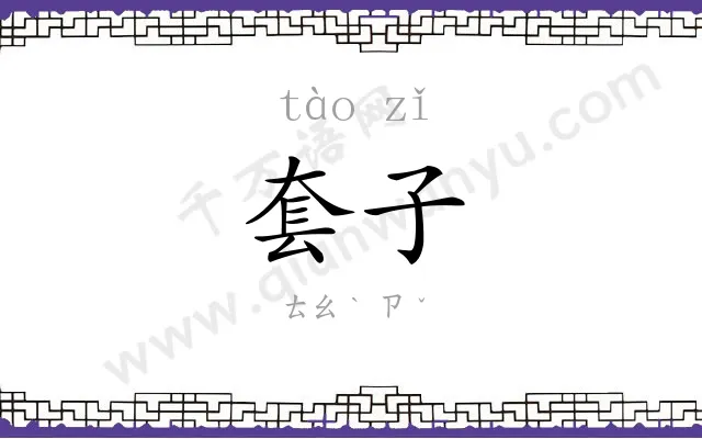 套子