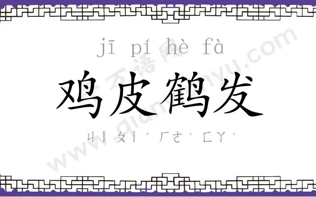 鸡皮鹤发