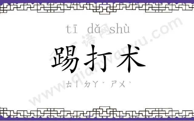 踢打术